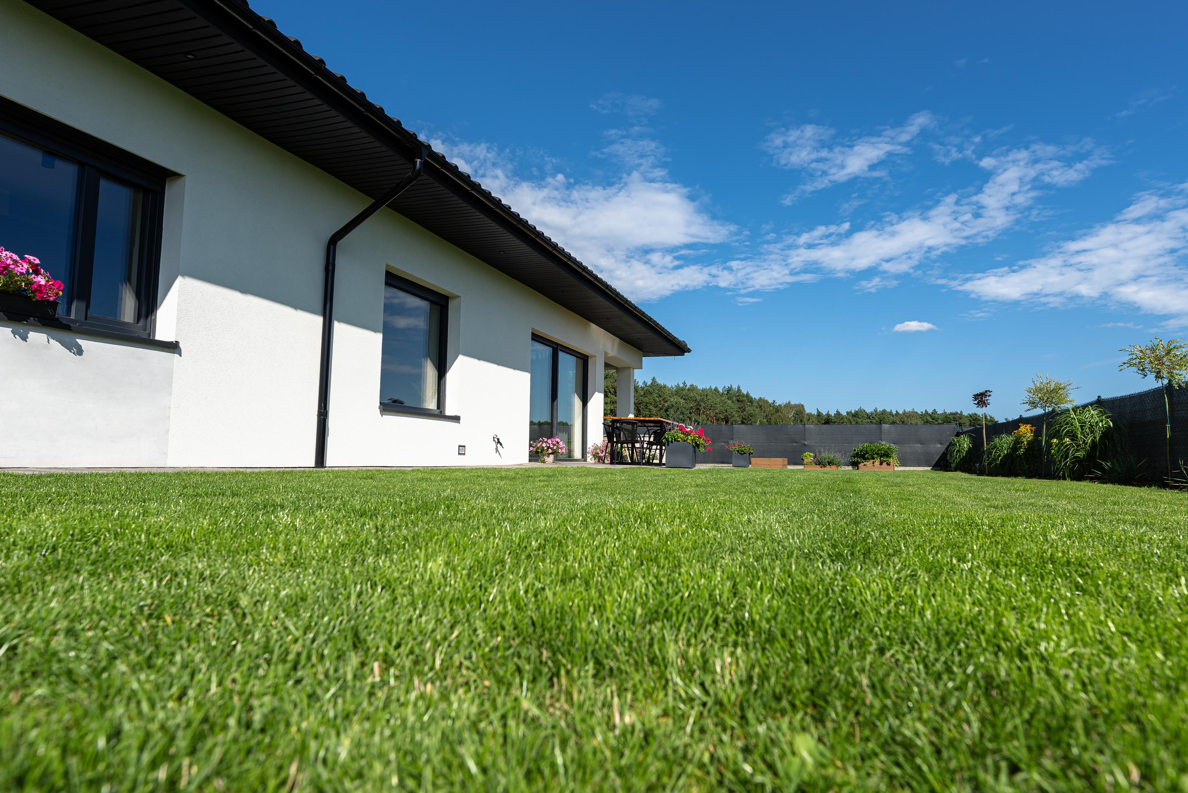 Image of a beautiful lawn, representing a a pristine lawn after your unsightly stump has been removed