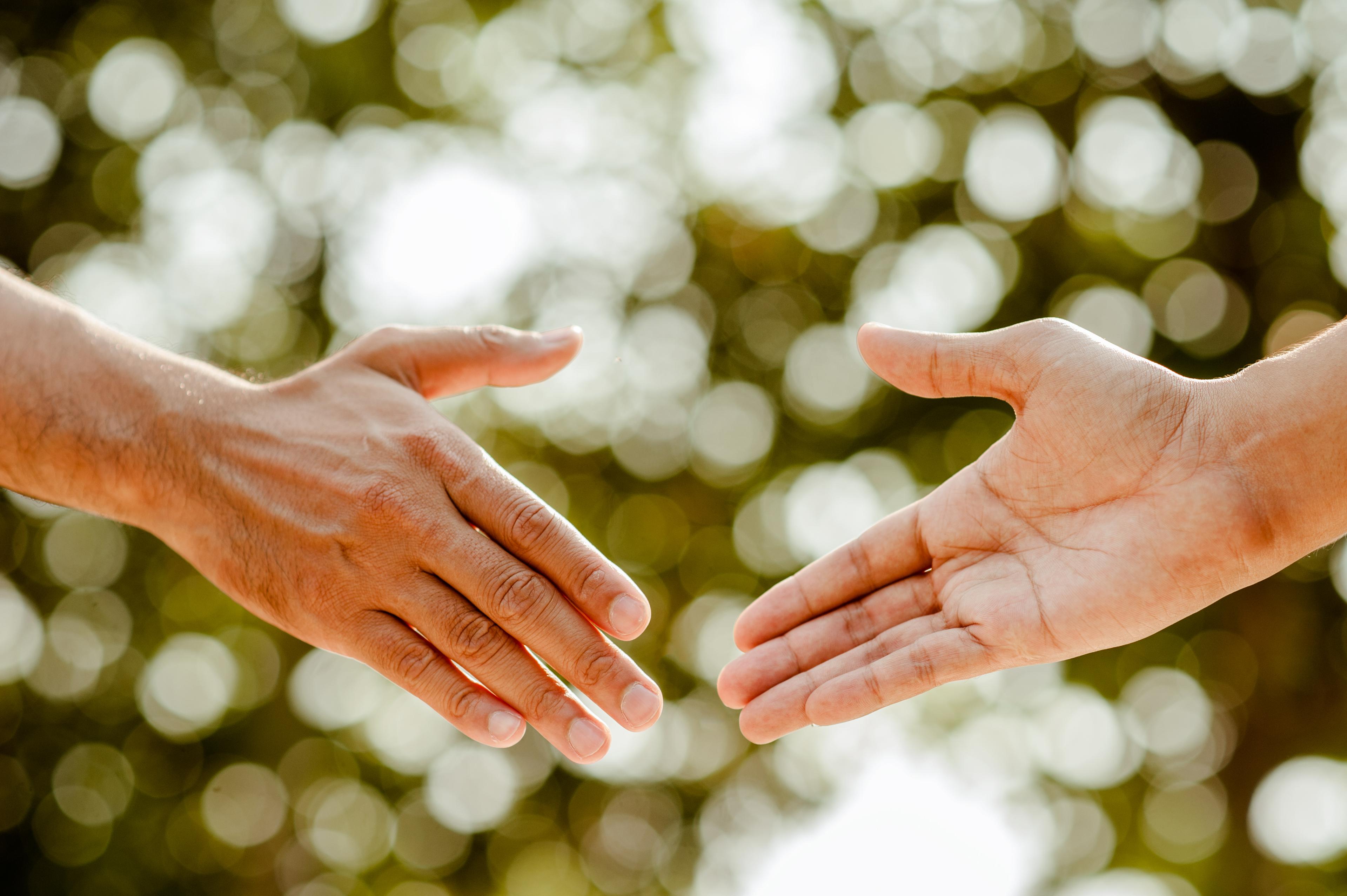 Two people shaking hands, representing getting matched with a stump specialist