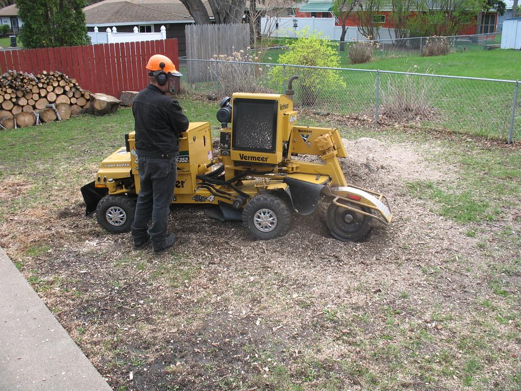 Image of a stump grinder and a tree stump being removed